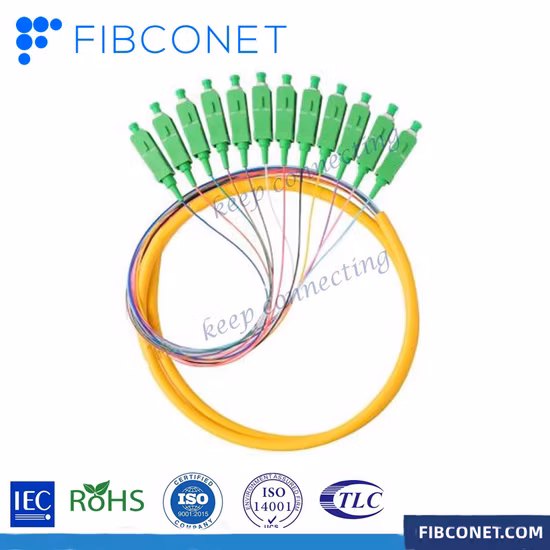 FTTH cabo óptico de 12 núcleos Sc/APC trança de fibra óptica monomodo